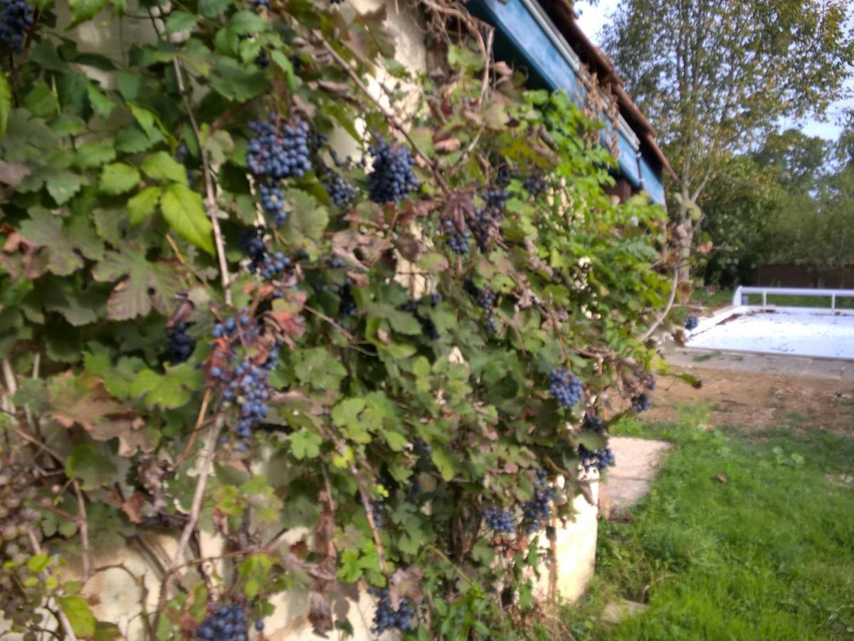 Nicely Renovated Wine-Grower House Fargues-Saint-Hilaire Dış mekan fotoğraf